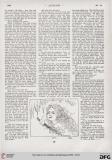 "Lenz", 3. Jahrg., 16. April 1898, Nr. 16, S. 267.